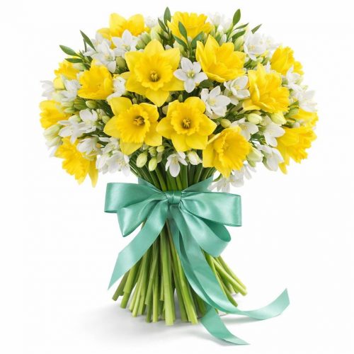 Нарцисс микс 1