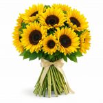 Подсолнухи